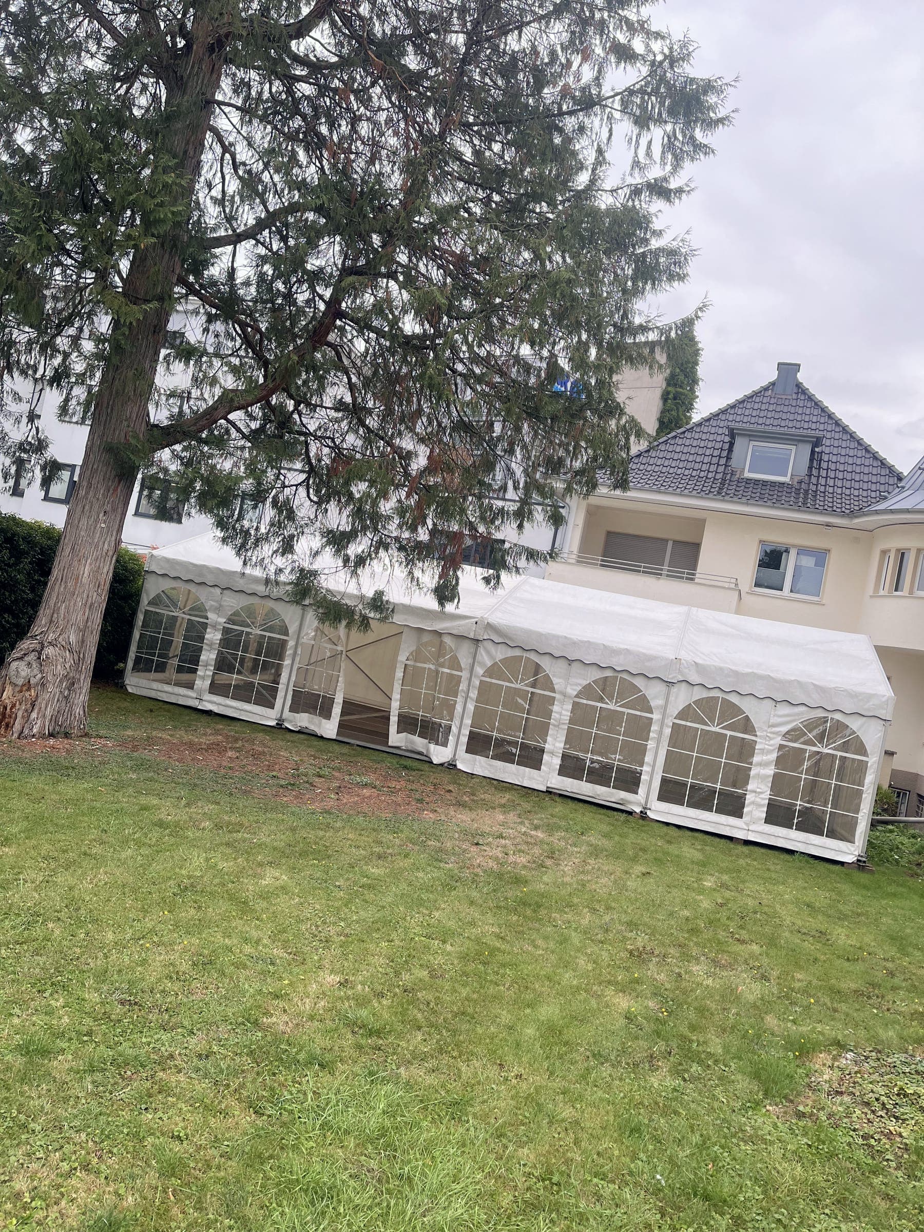 Weißes Partyzelt mit Sprossenfenstern im Garten vor einem Wohnhaus, daneben eine große Tanne